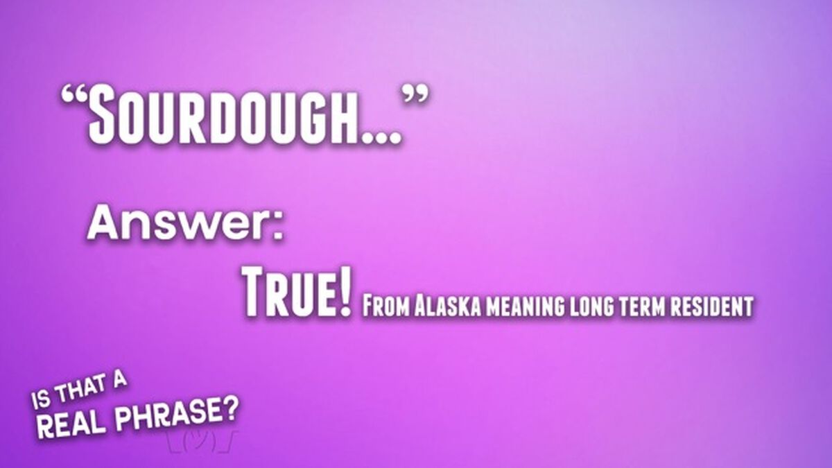 Is That a Real Phrase? USA Edition image number null