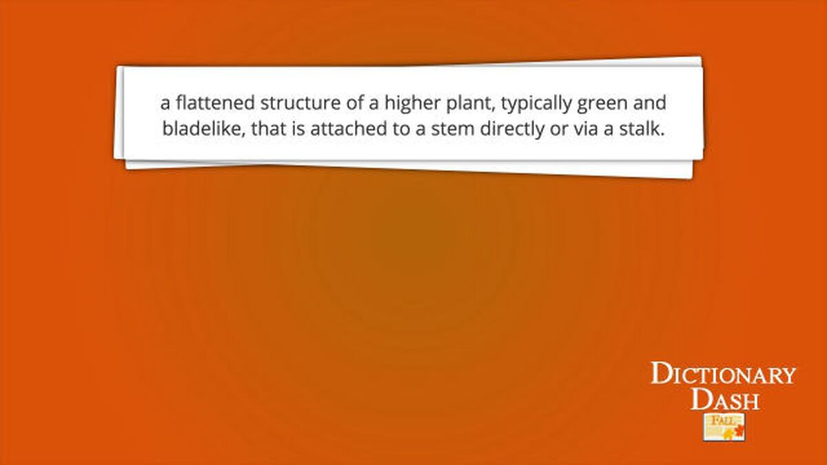 Dictionary Dash – Fall Edition image number null