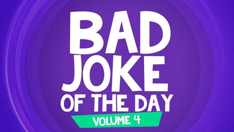 Bad Joke of the Day: Volume 4