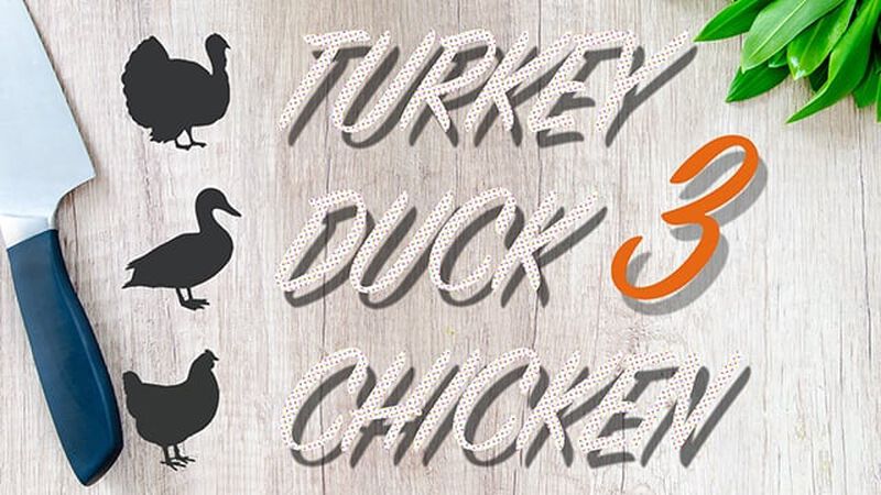 Turkey Duck Chicken Three
