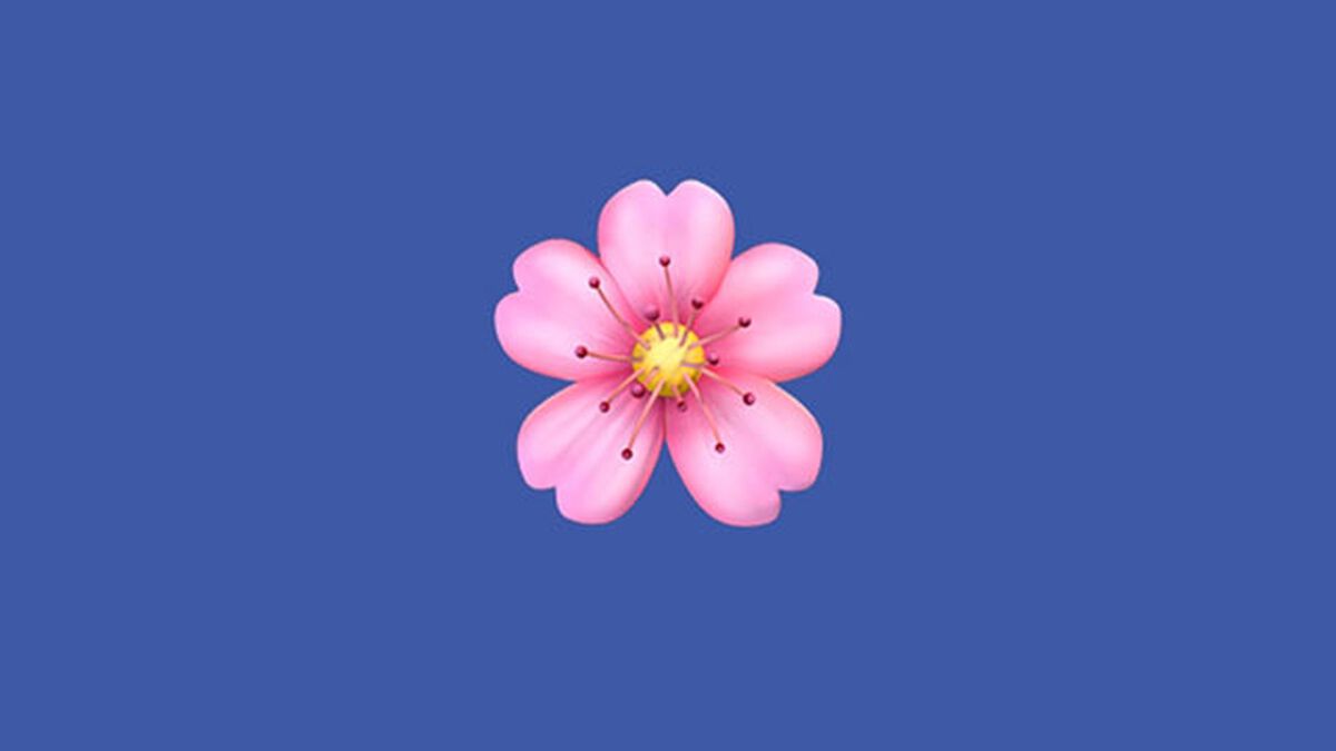 Emoji Scavenger Hunt (Vol I, II & Summer Edition) image number null