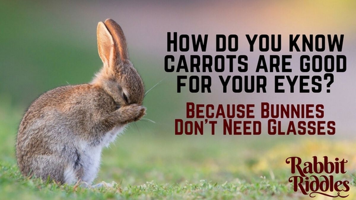 Rabbit Riddles image number null