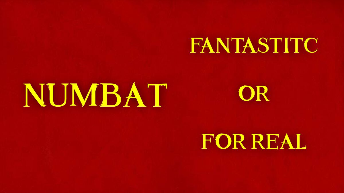 Beasts: Fantastic or for Real? image number null