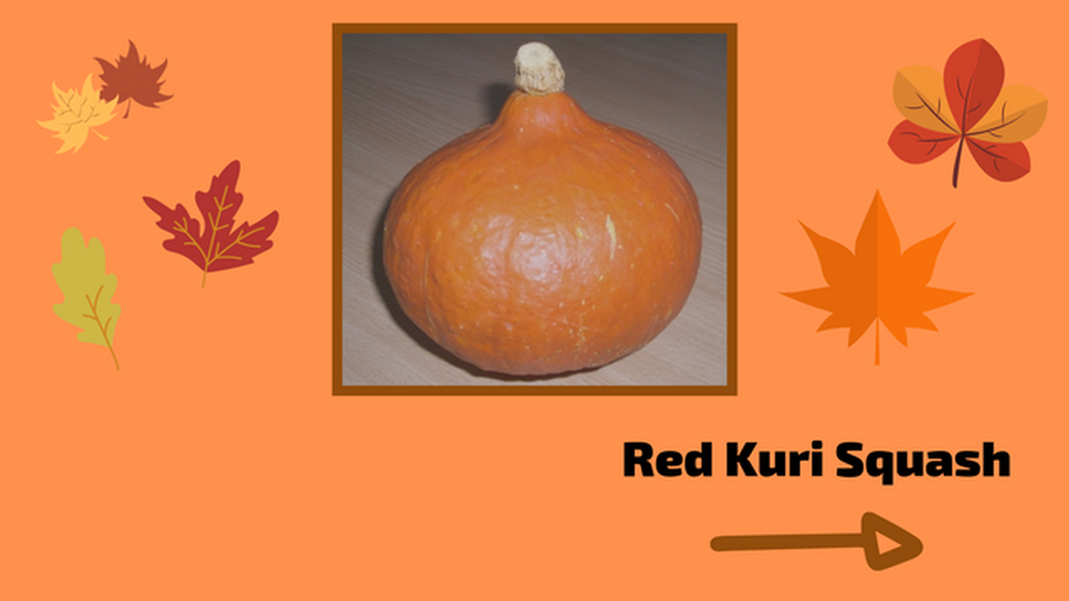 Are You Good with Gourds? image number null