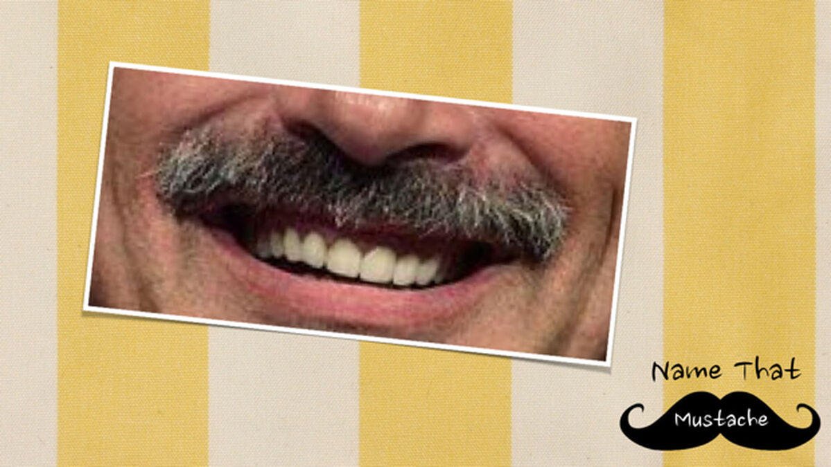 Name That Mustache 2 image number null