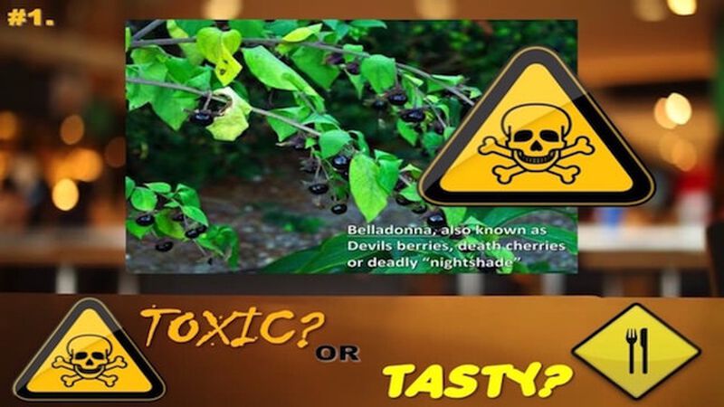 Toxic or Tasty Game