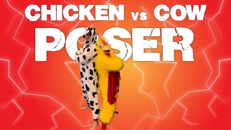 Poser Chicken Vs. Cow