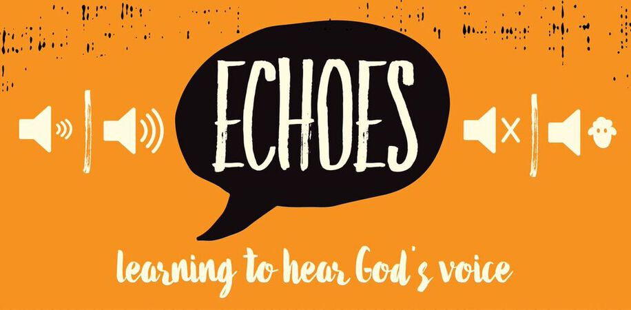 Echoes: a DNOW Study