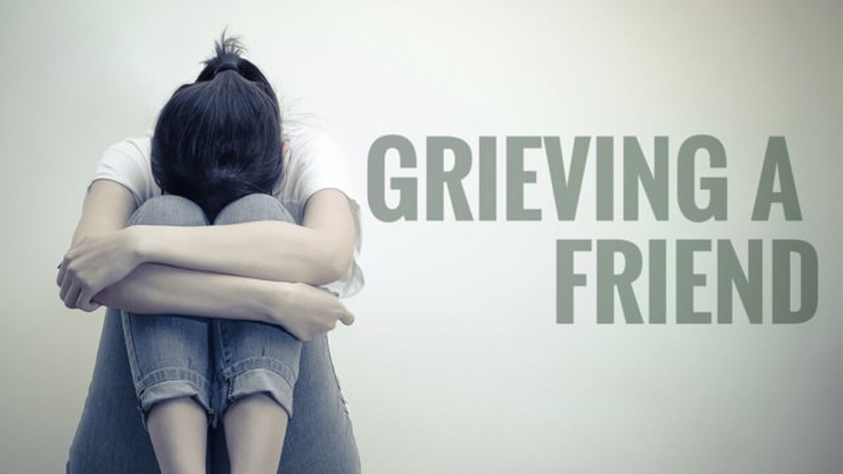 Grieving A Friend image number null