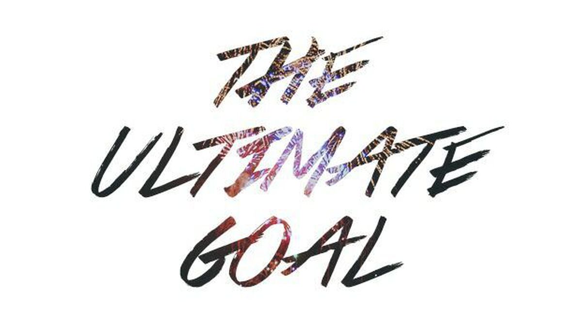 The Ultimate Goal  image number null