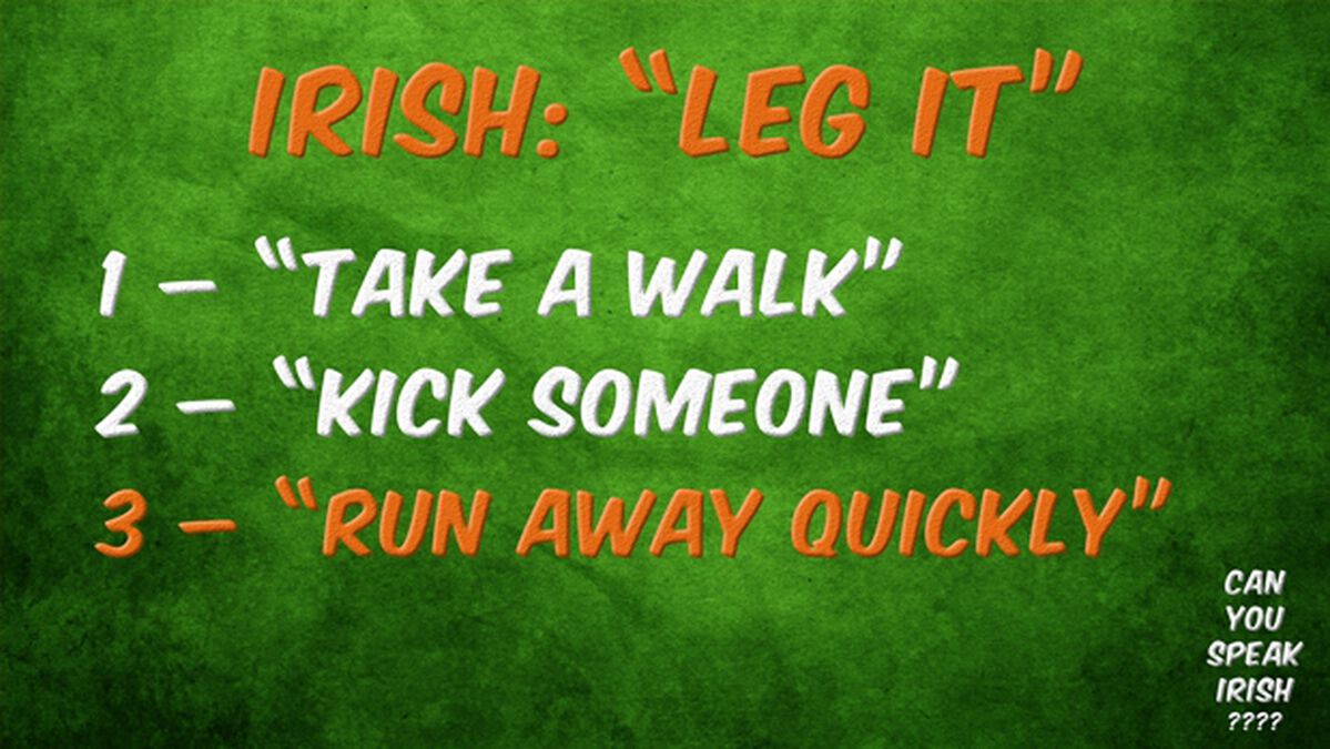 Can You Speak Irish? image number null