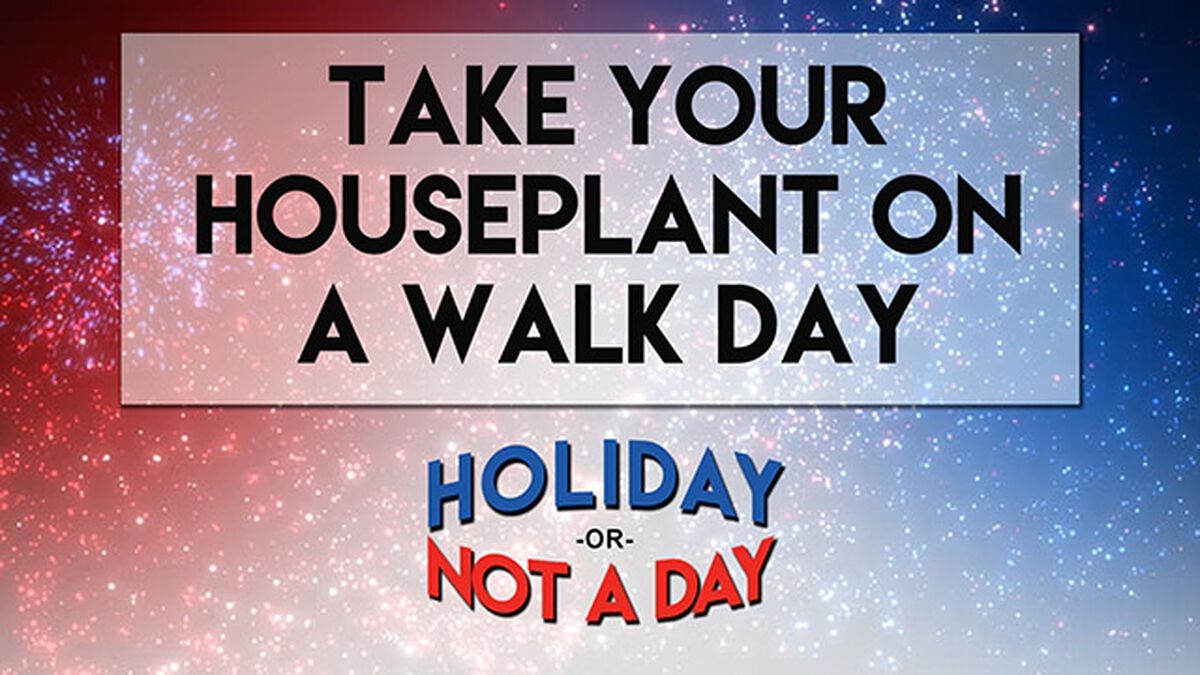 Holiday or Not a Day: July image number null