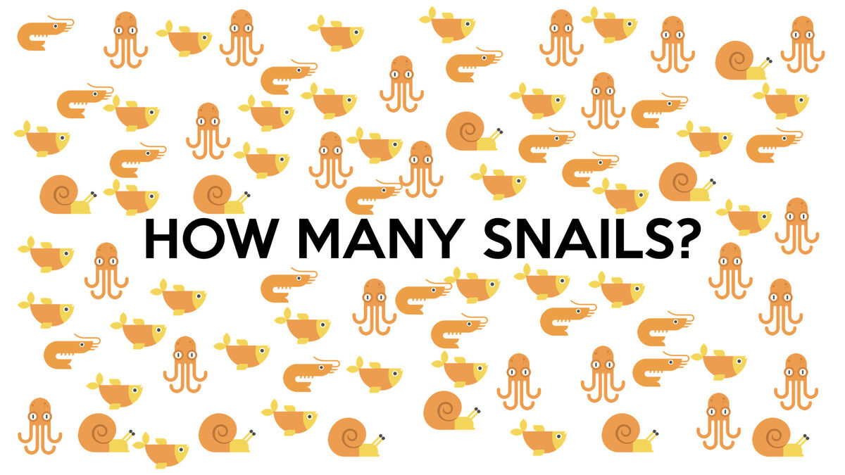 Hidden in Plain Sight 2: Animal Edition image number null