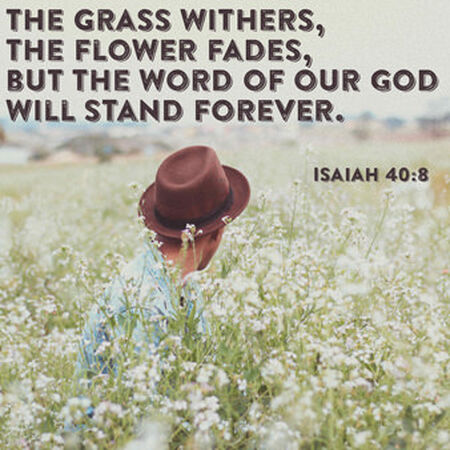 Hipstergrams: Volume 1