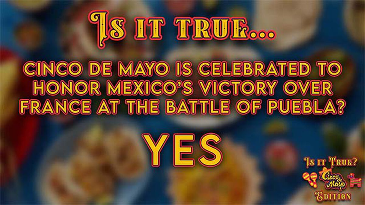 Is it True - Cinco de Mayo Edition image number null