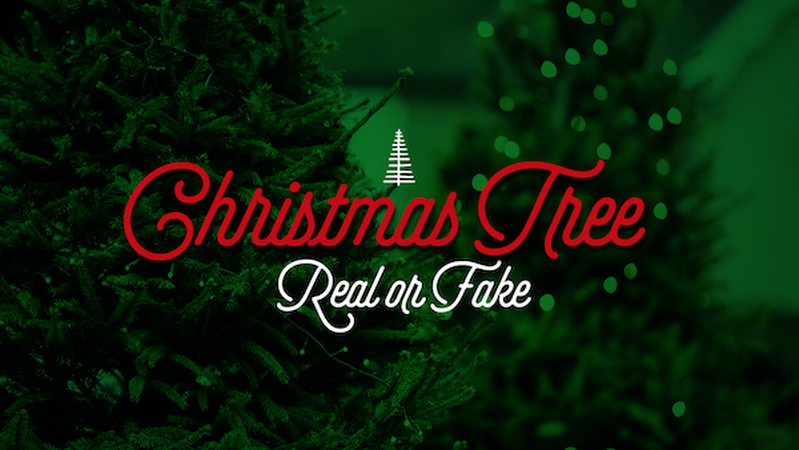Christmas Tree: Real or Fake?