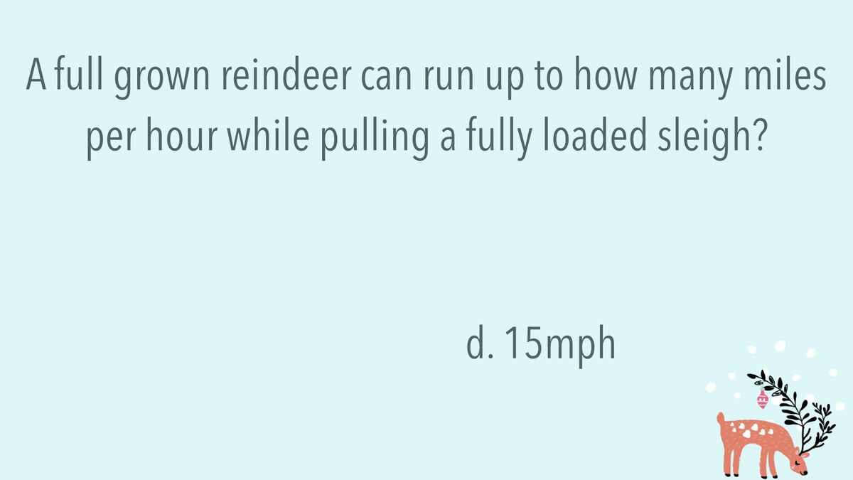 Reindeer Trivia image number null