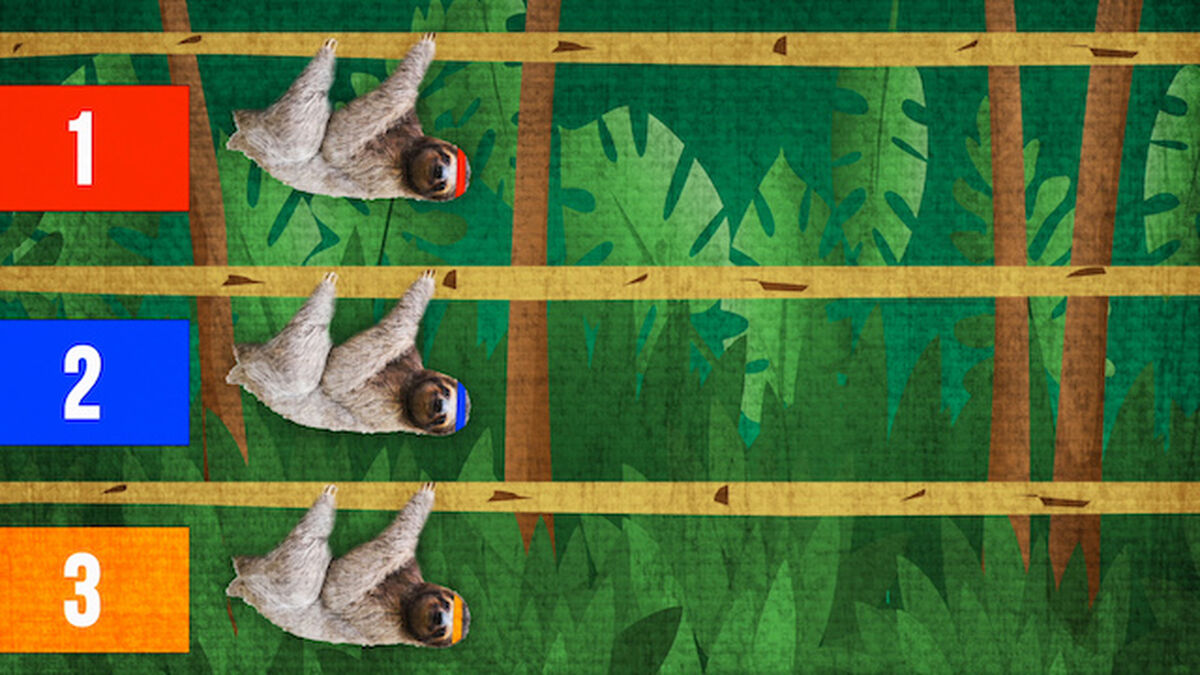Sloth Race image number null