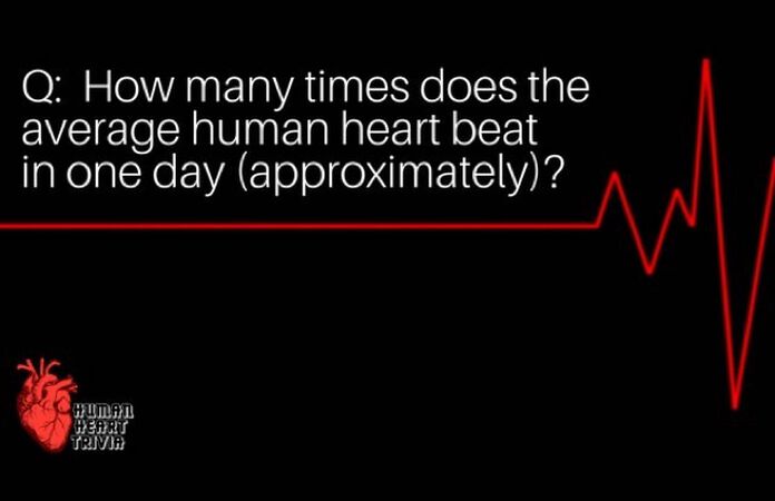 Human Heart Trivia