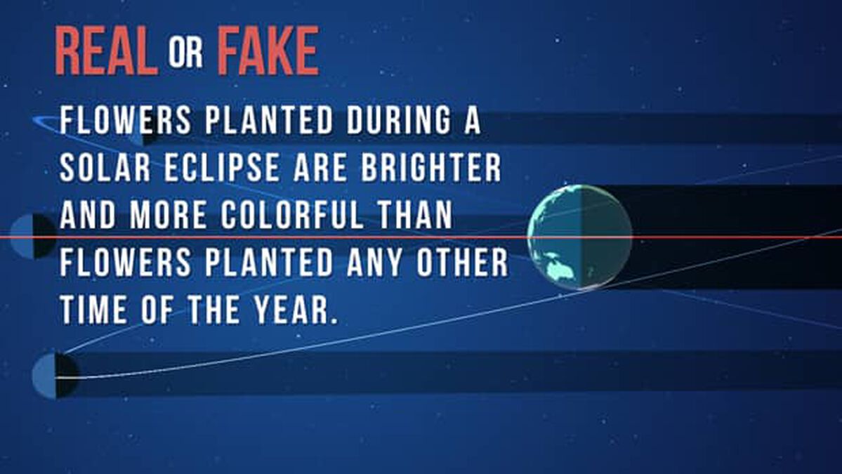 Real or Fake: Solar Eclipse Edition image number null