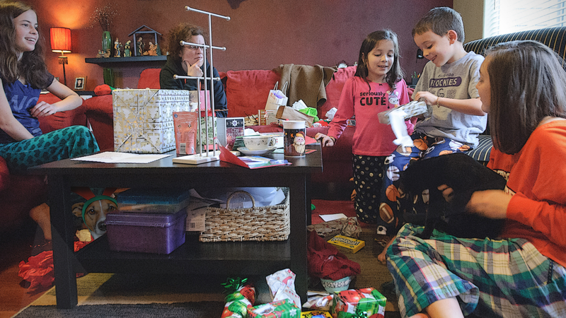 Can You Find The Reindeer?