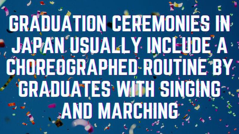 Does it Celebrate? Graduation Edition