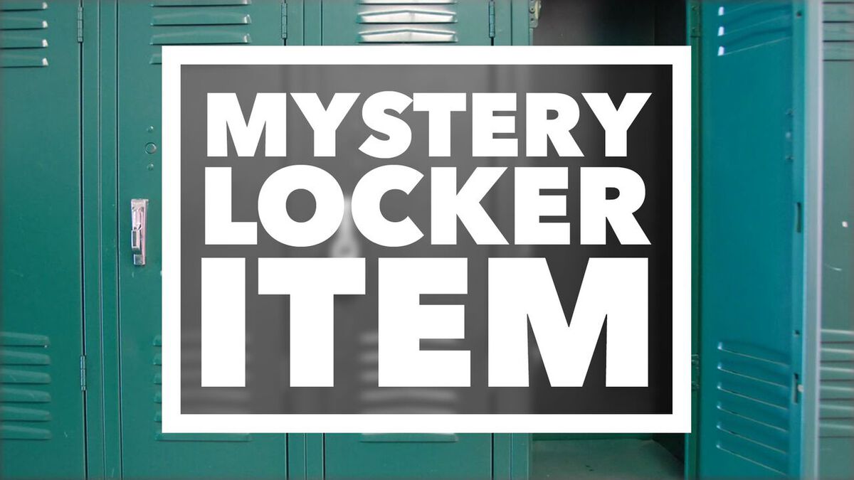 Mystery Locker Item image number null