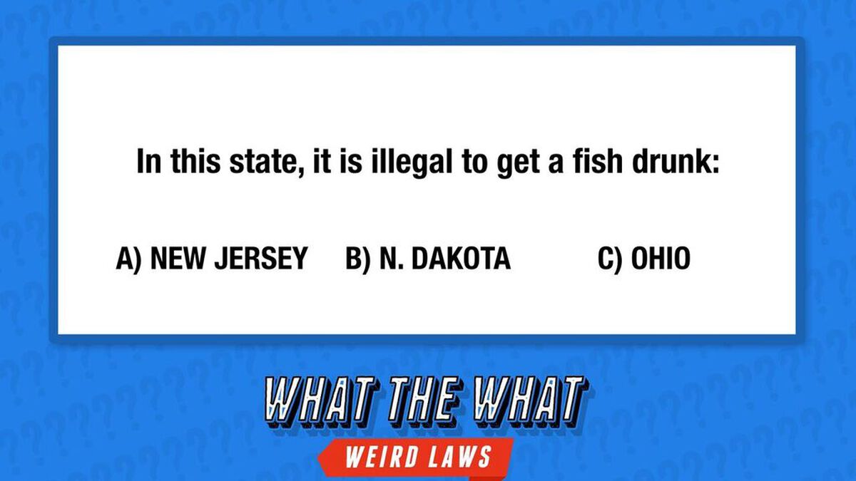 What the What? (Weird Laws) image number null