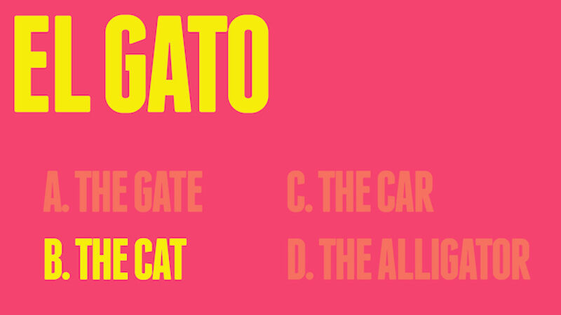 El Super Grande Spanish Vocab Quiz 