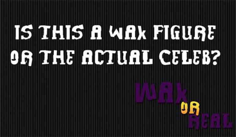 Wax or Real?