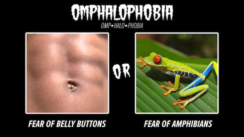 Phobias: What are You Afraid Of?
