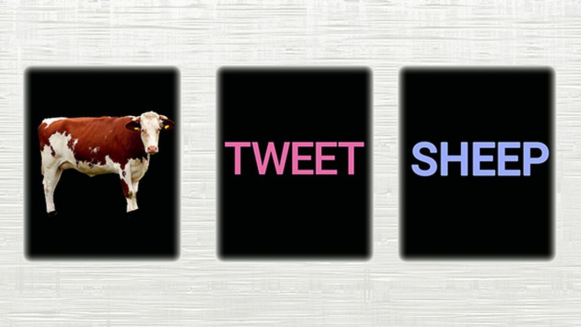 Animal Call-Out image number null