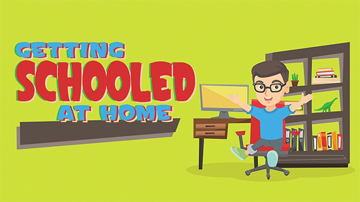 Getting Schooled at Home via Survey Says image number null