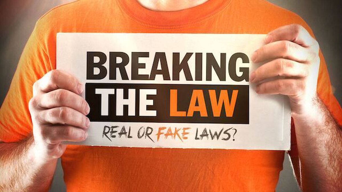 Breaking the Law image number null