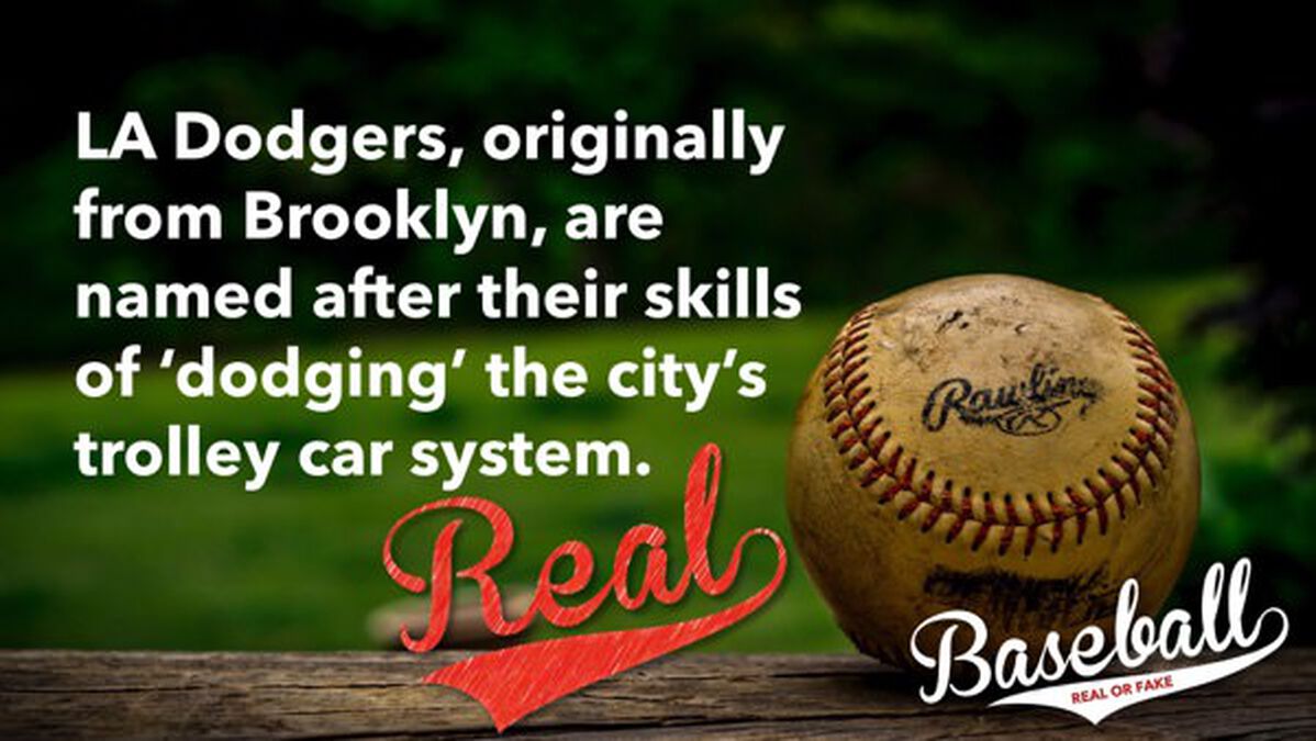 Baseball: Real or Fake image number null