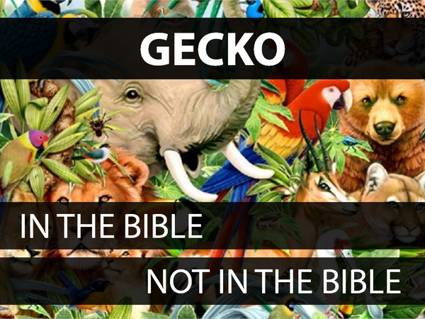 Animals of the Bible: Volume 1