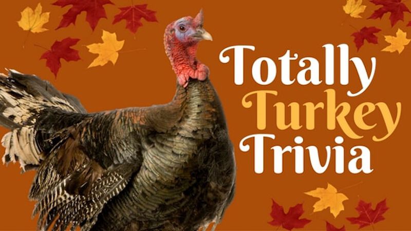 Totally Turkey Trivia