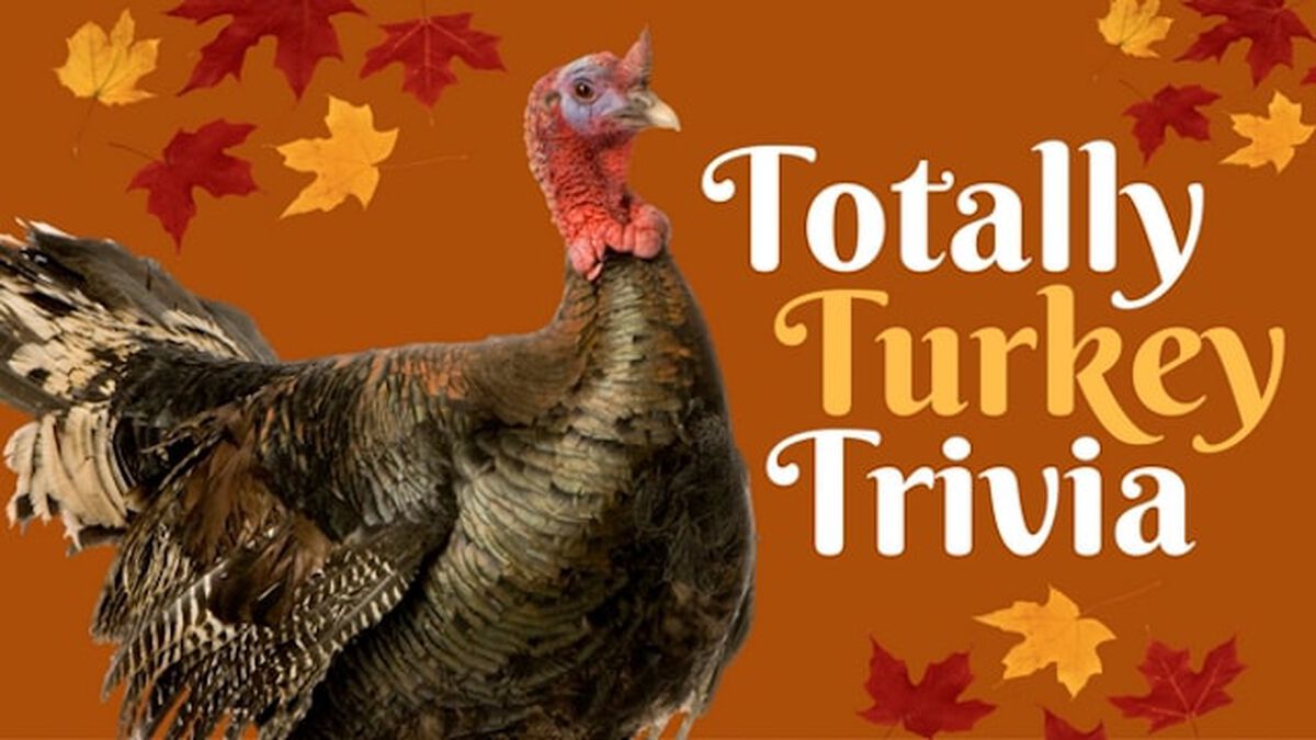 Thanksgiving Trivia Game Turkey Trivia (Download Now) 