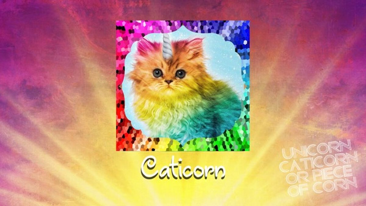 Unicorn, Caticorn, or Piece of Corn? image number null