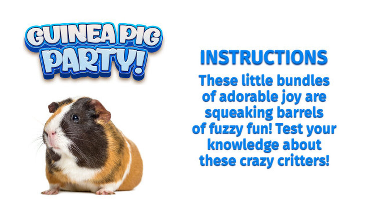 Guinea Pig Party Game image number null