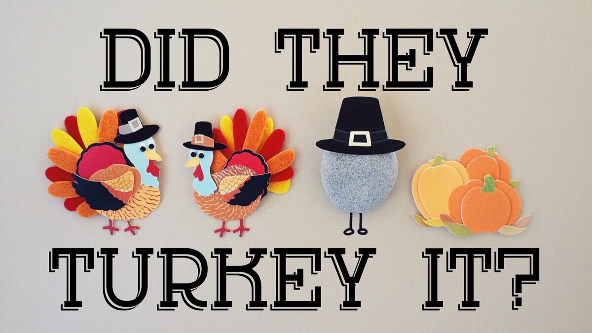 Did They Turkey It?  image number null