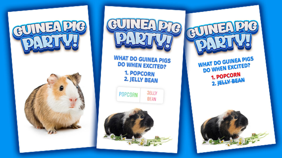 Guinea Pig Party Game image number null