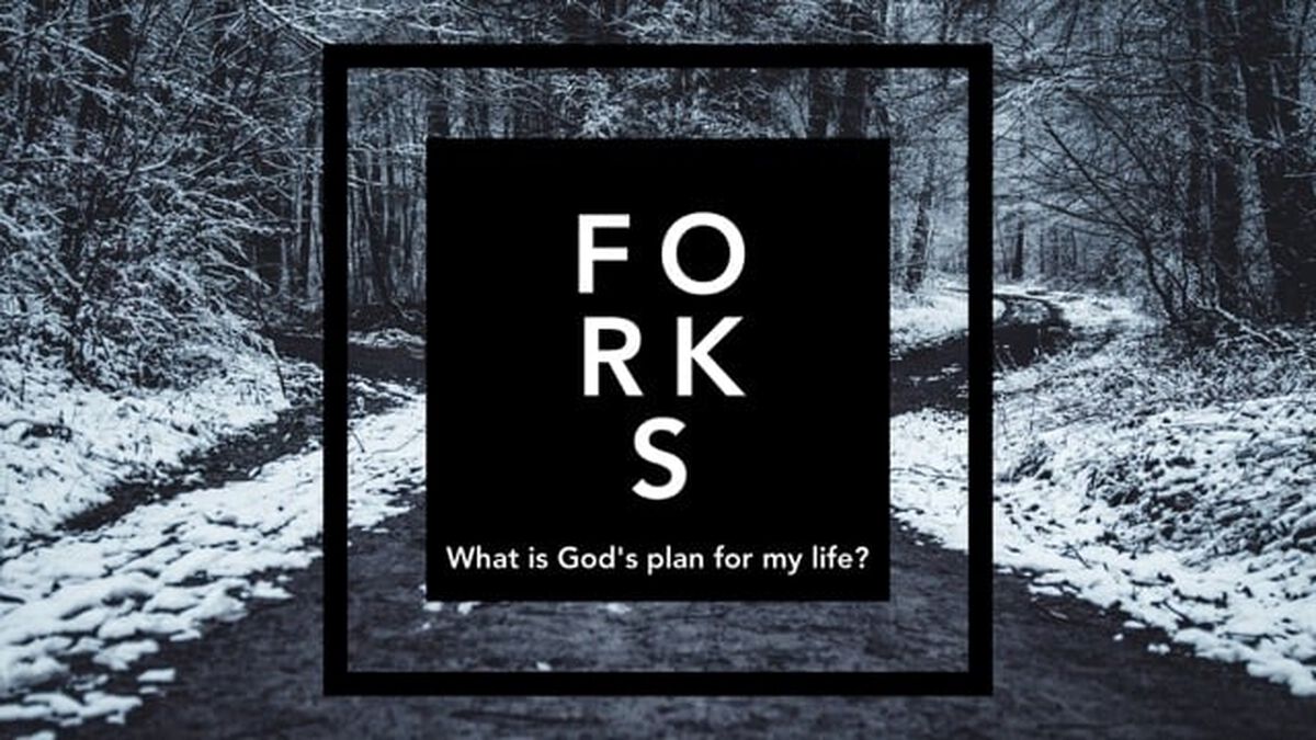 Forks: What is God's Plan For My Life? image number null