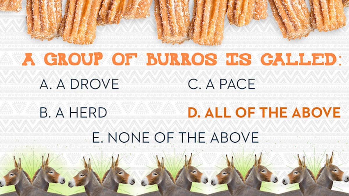 Churros and Burros image number null