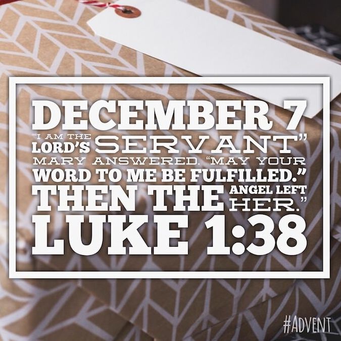 Insta Advent image number null