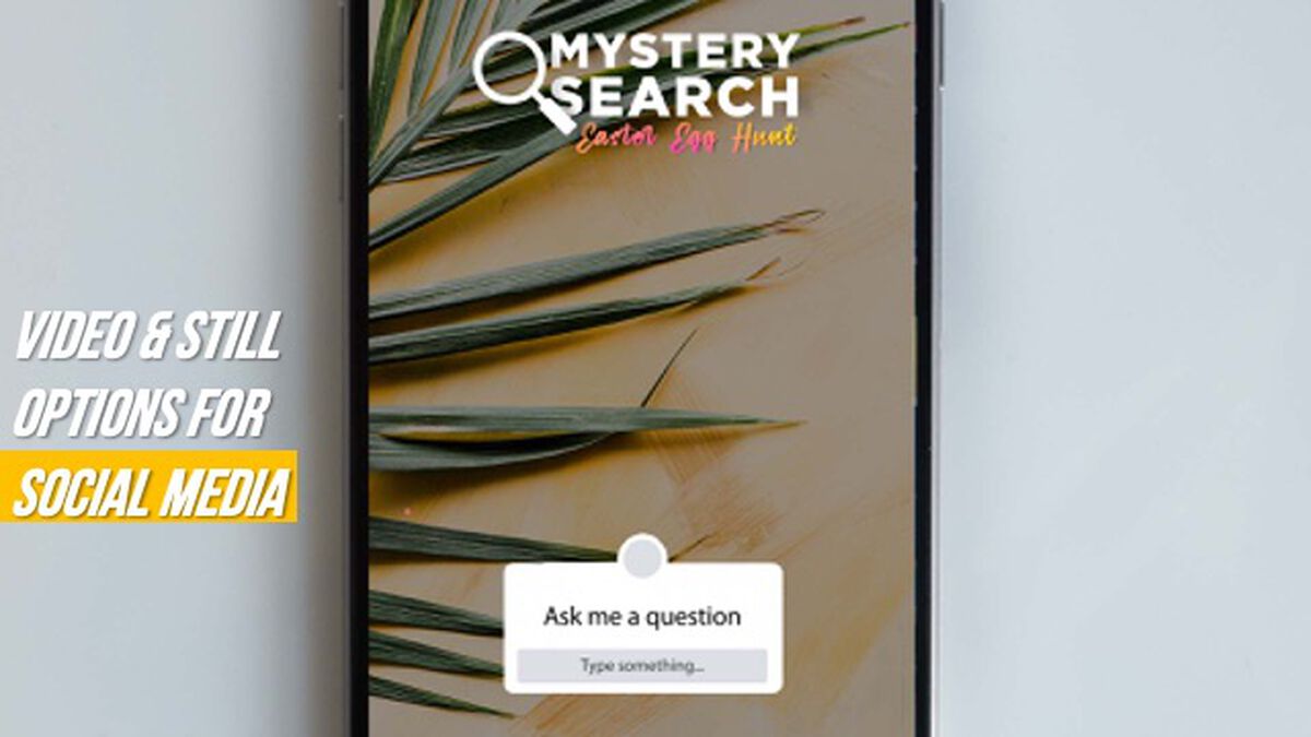 Mystery Search - Easter Egg Hunt image number null