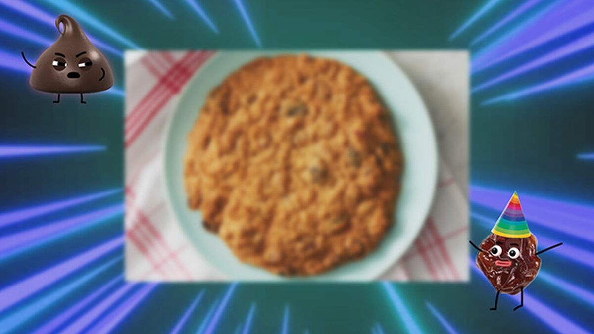 Chocolate Chip Or Oatmeal Raisin? image number null