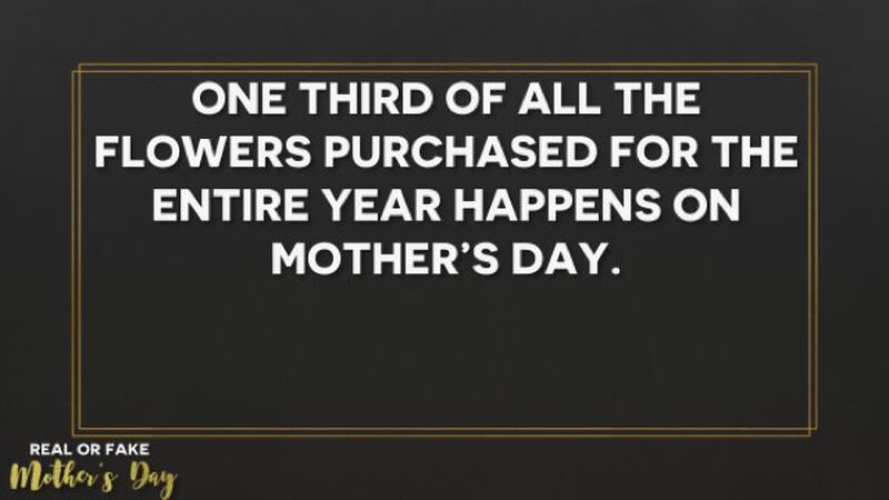Real or Fake: Mother's Day Edition