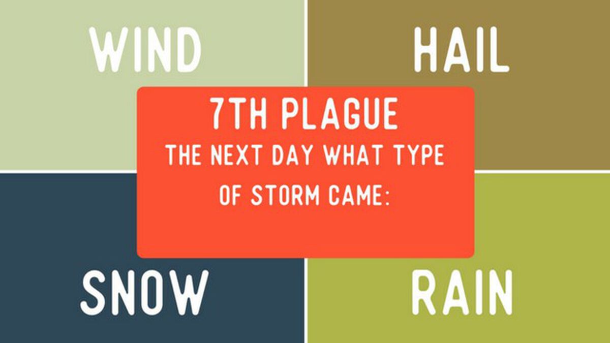 4 Corners: Plagues Edition image number null