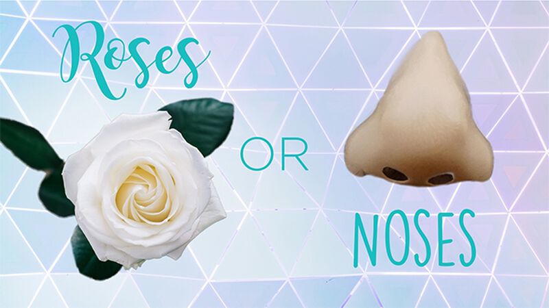Roses or Noses